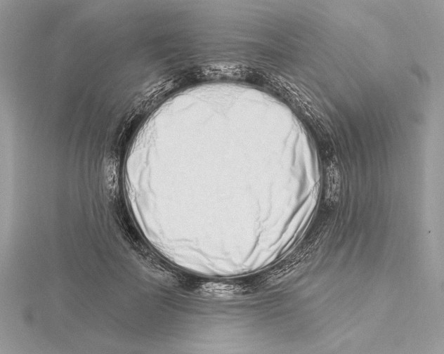 X0000115520699200912040929