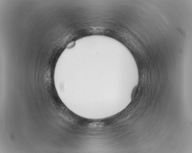 X0000115520700200912040929