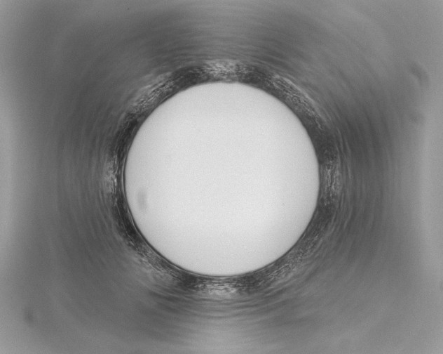 X0000115520702200912040929