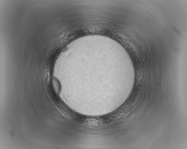 X0000115520703200912040929