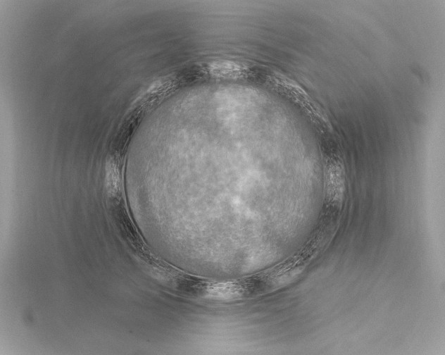 X0000115520705200912040929