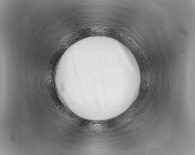 X0000115520706200912040929