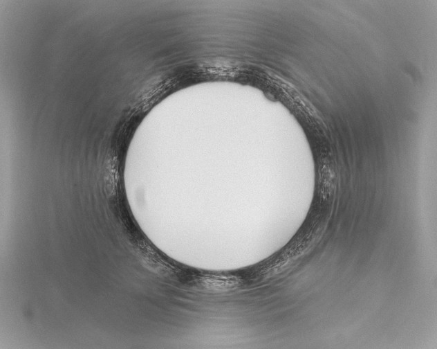 X0000115520707200912040929