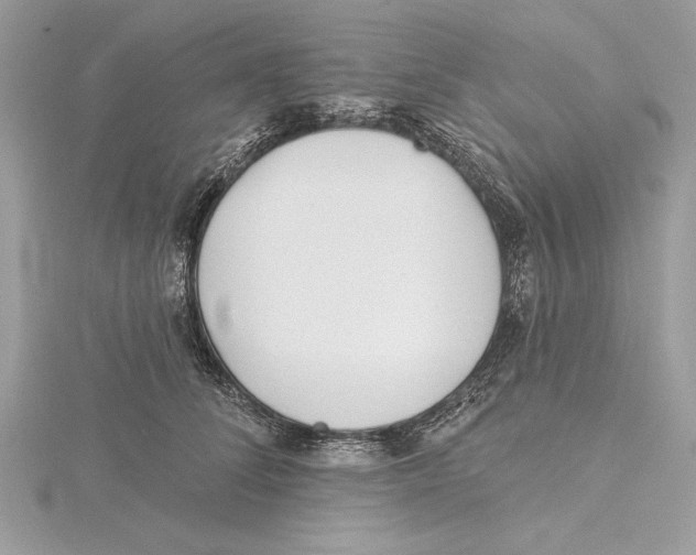 X0000115520708200912040929