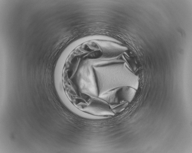 X0000115520709200912040929