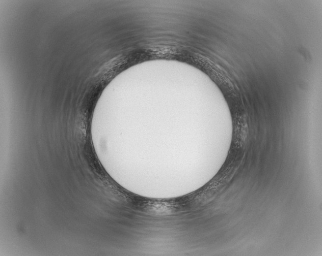 X0000115520710200912040929