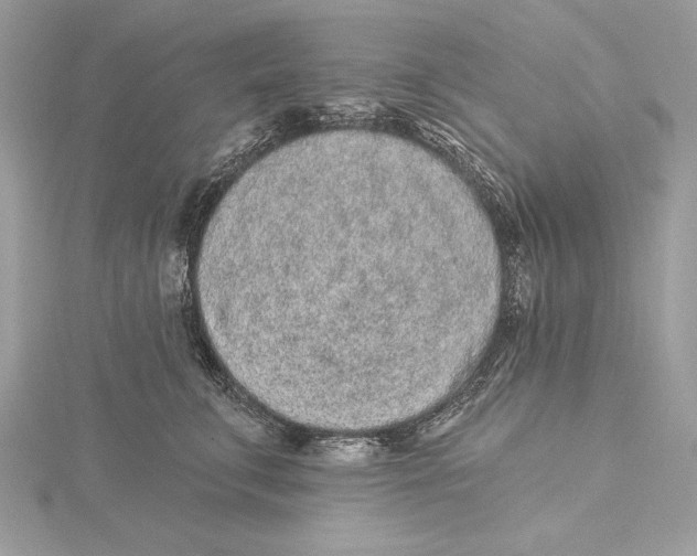 X0000115520711200912040929