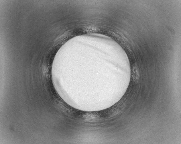 X0000115520714200912040929