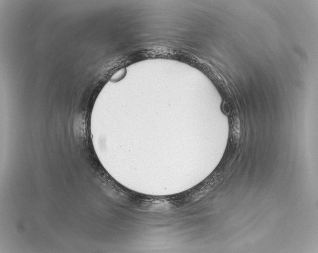 X0000115520715200912040929