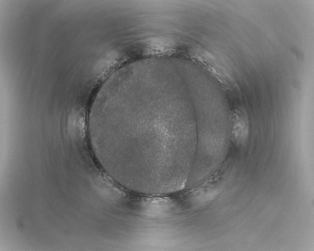 X0000115520716200912040929