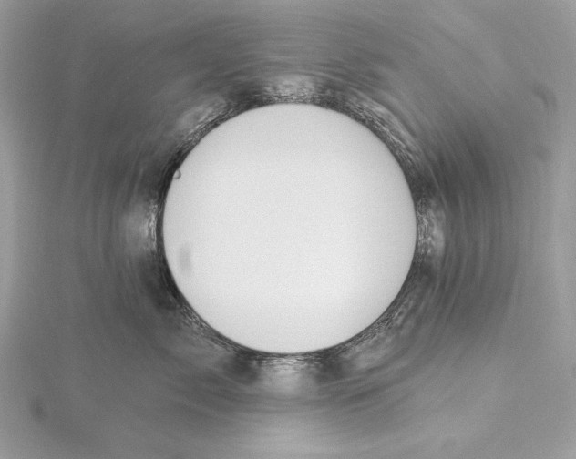 X0000115520717200912040929