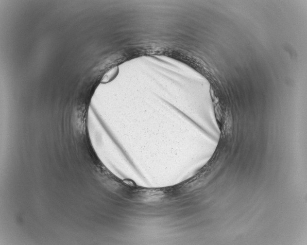 X0000115520719200912040929