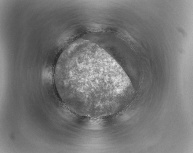 X0000115520720200912040929