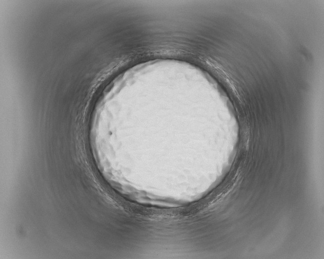 X0000115520721200912040928