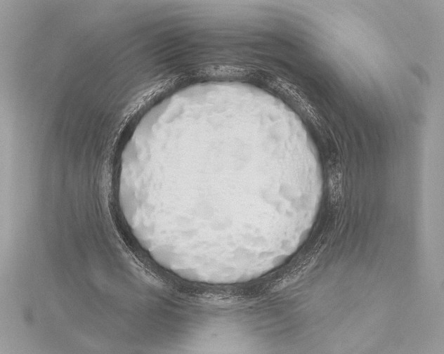 X0000115520725200912040928