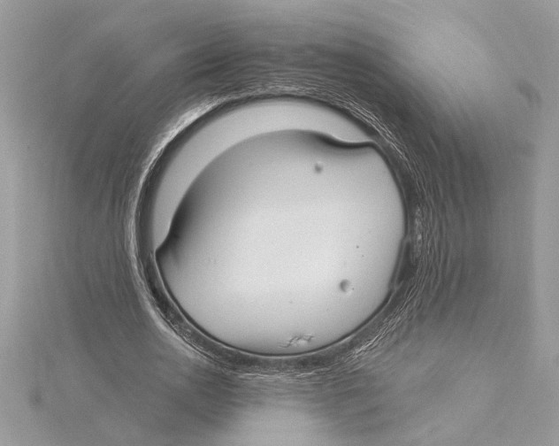 X0000115520726200912040928