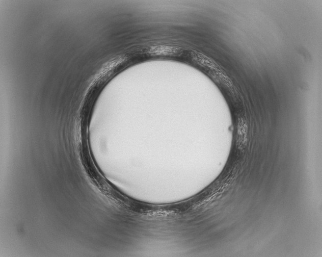 X0000115520734200912040928