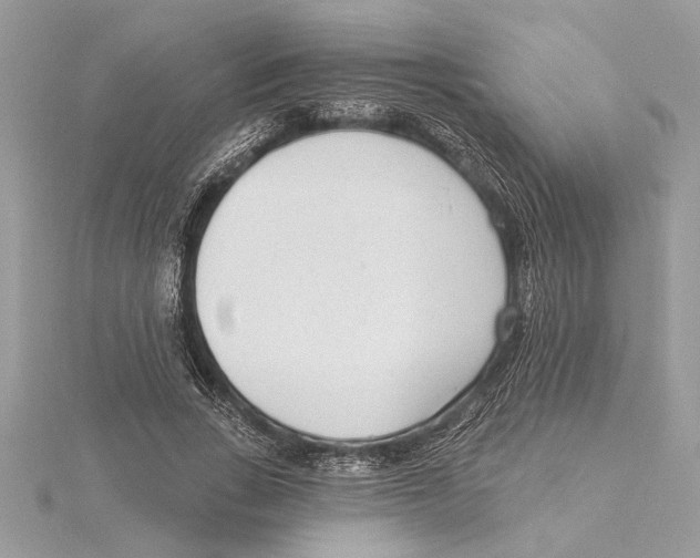 X0000115520735200912040928