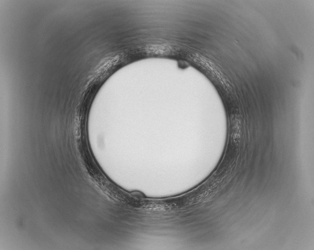 X0000115520738200912040928