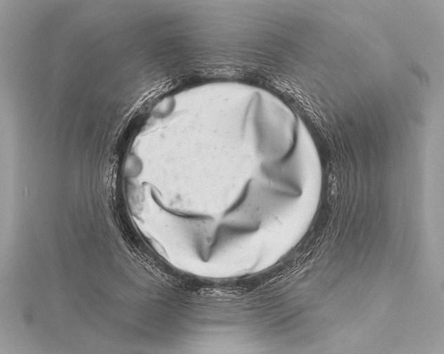 X0000115520739200912040928