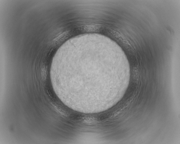 X0000115520741200912040928