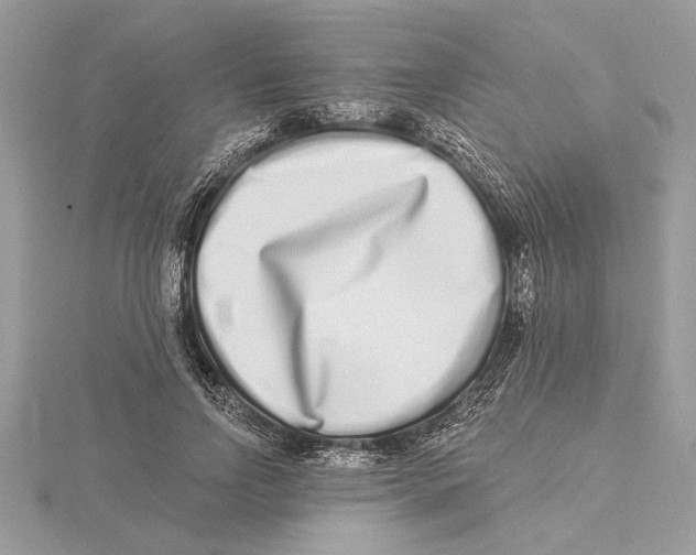 X0000115520742200912040928