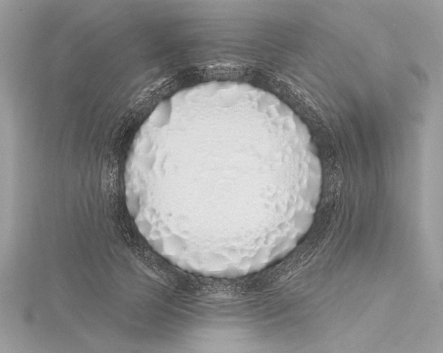 X0000115520745200912040928