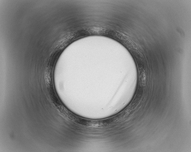 X0000115520746200912040928