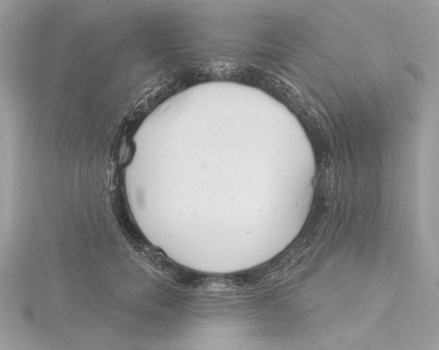 X0000115520750200912040928