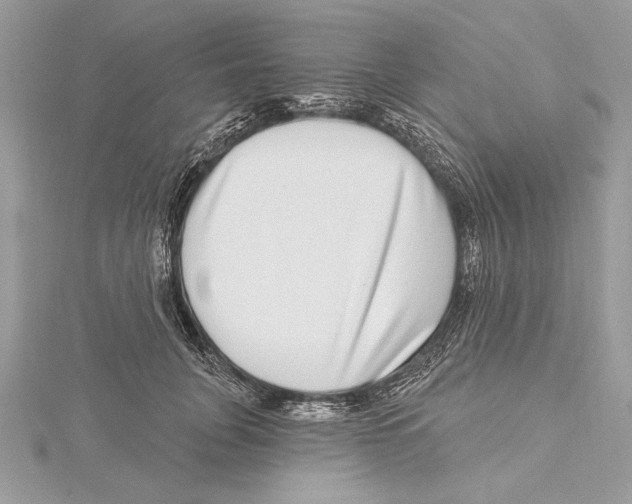 X0000115520751200912040928