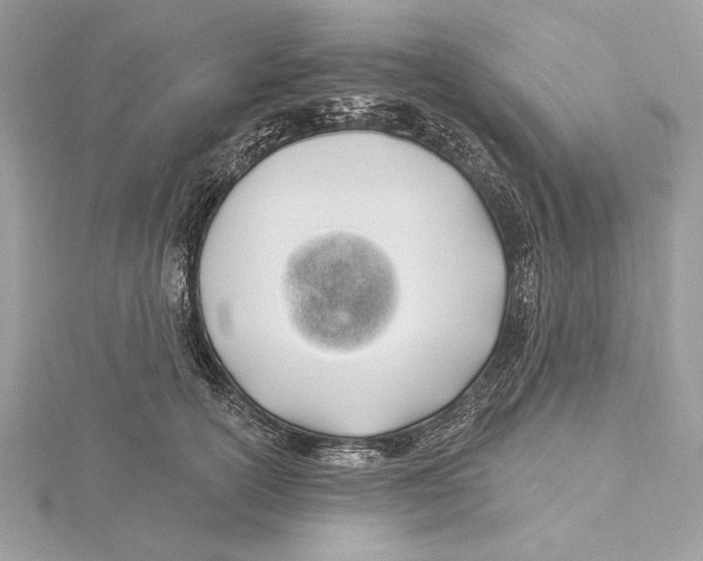 X0000115520754200912040928