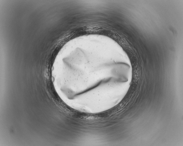 X0000115520755200912040928