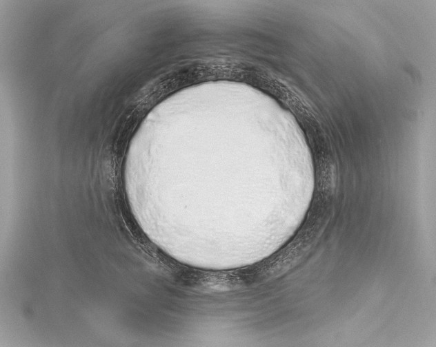 X0000115520757200912040928