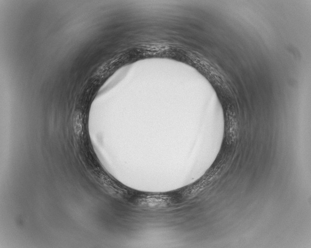 X0000115520758200912040928