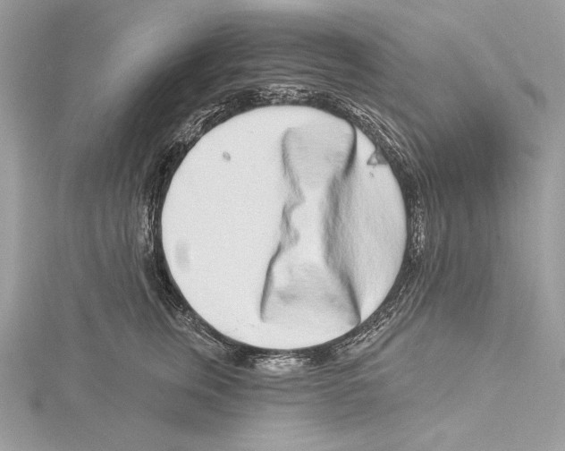 X0000115520759200912040928