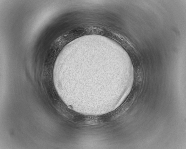 X0000115520761200912040928