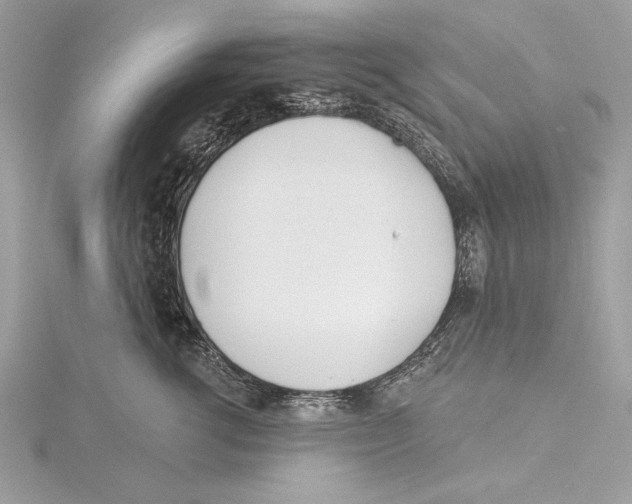 X0000115520762200912040928