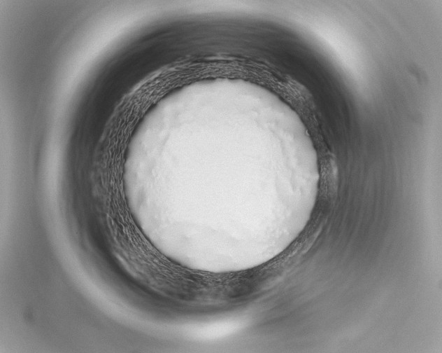 X0000115520765200912040929