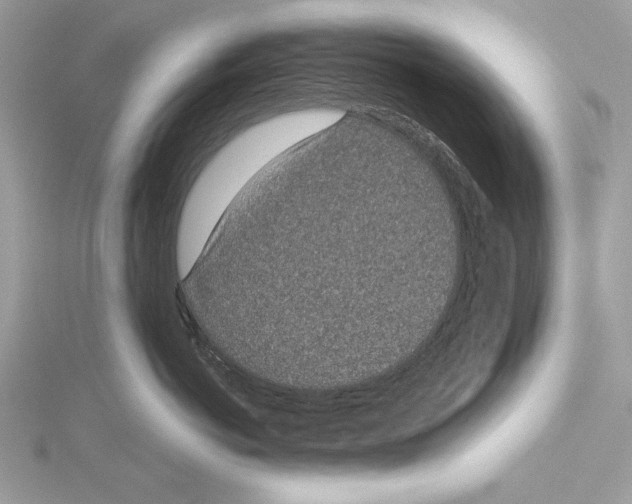 X0000115520766200912040929