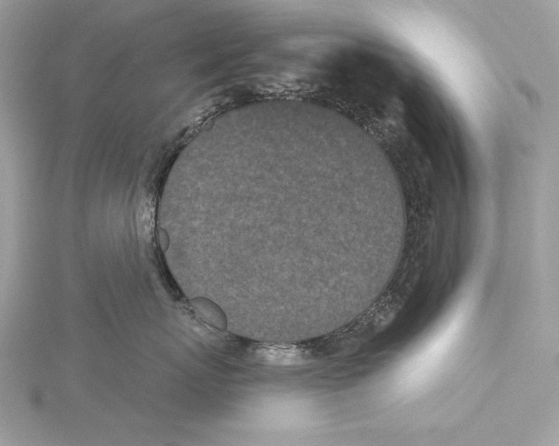 X0000115520767200912040929