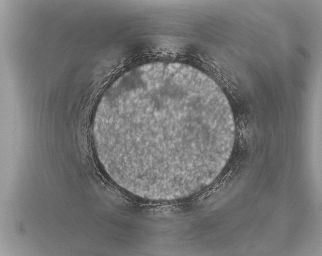 X0000115520769200912040928