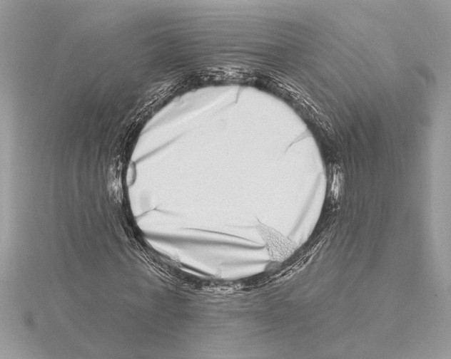 X0000115520771200912040928