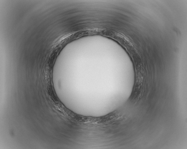 X0000115520773200912040928