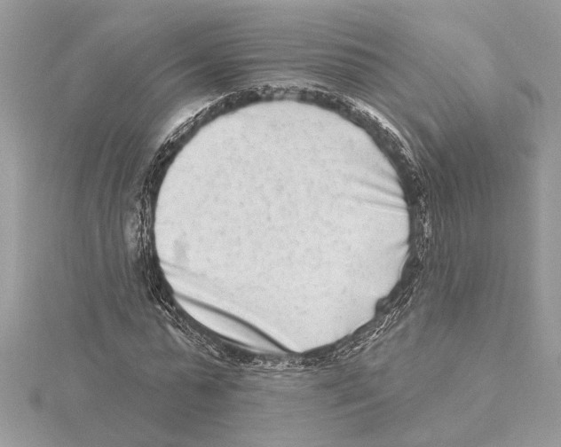 X0000115520775200912040928