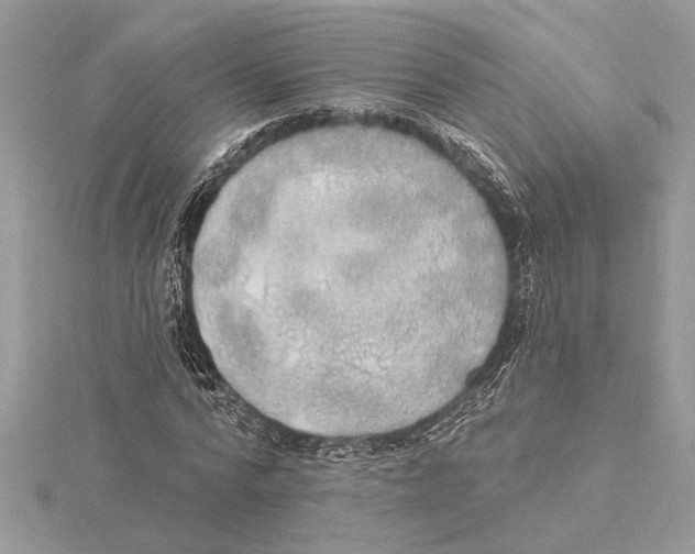 X0000115520776200912040928