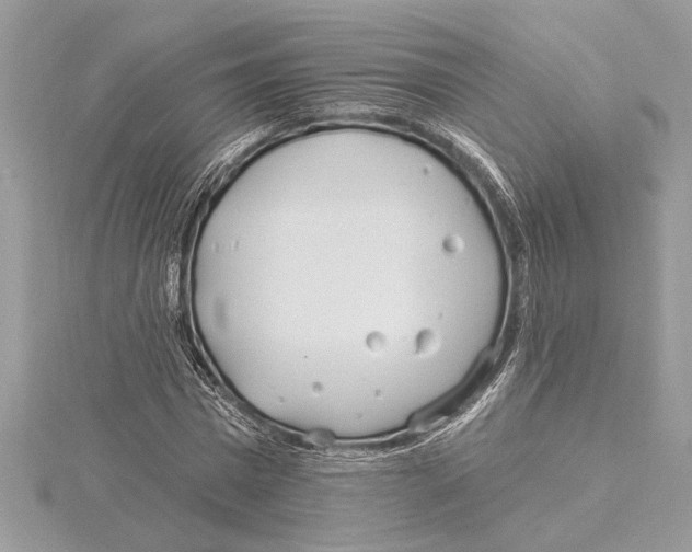 X0000115520777200912040928