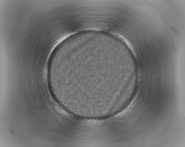 X0000115520779200912040928