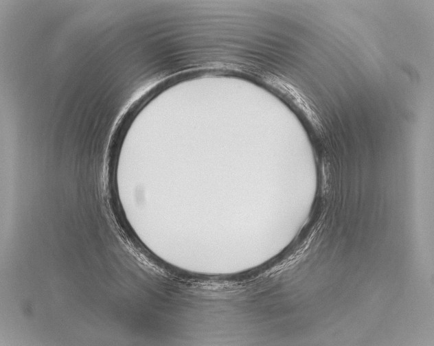 X0000115520780200912040928