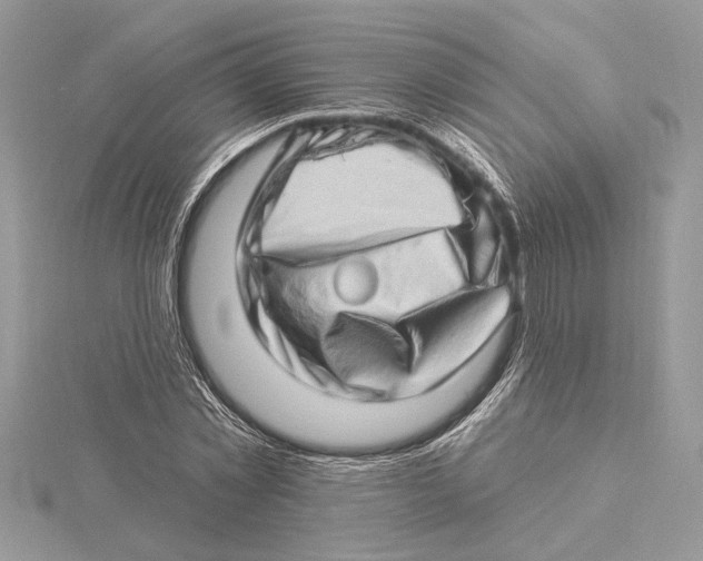 X0000115520781200912040928