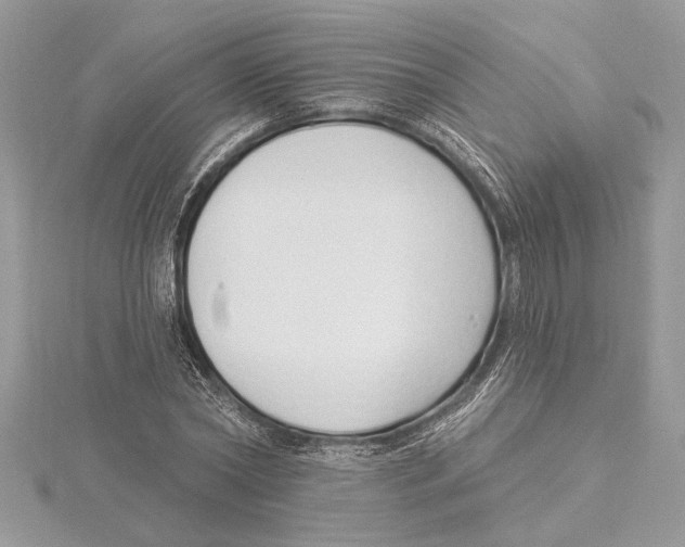 X0000115520782200912040928